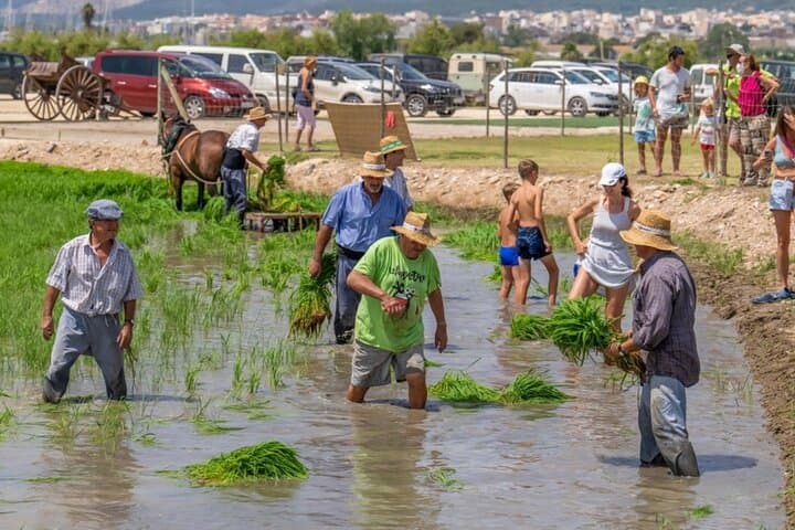 Holistic Immersion in the Ebro Delta: les Terres de l'Ebre Biosphere Reserve Experience photo 4