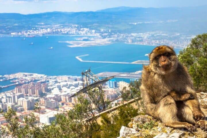 Gibraltar Private Tour: Monkeys, Saint Michael's Cave & Skywalk Views