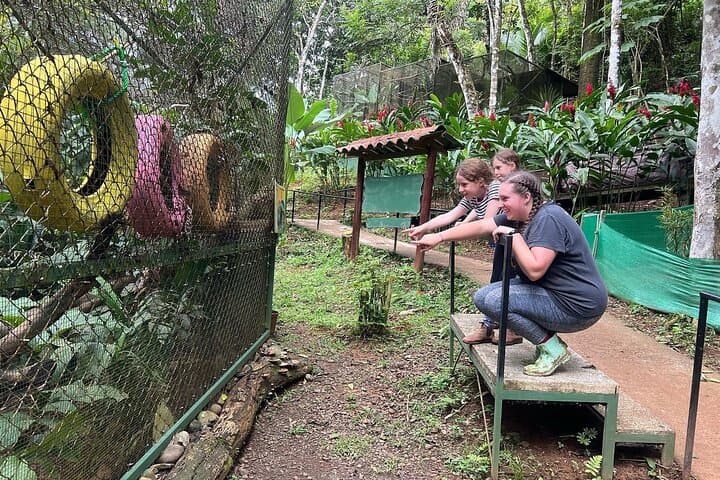Full-Day Volunteer at Manuel Antonio Wildlife Sanctuary — Hands-On Conservation in Costa Rica photo 2