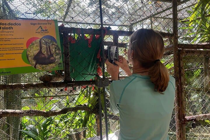 Full-Day Volunteer at Manuel Antonio Wildlife Sanctuary — Hands-On Conservation in Costa Rica photo 4