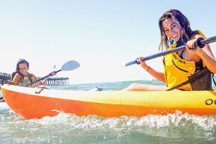 Miami Beach Kayak Tour: Paddle Biscayne Bay & Miami Skyline