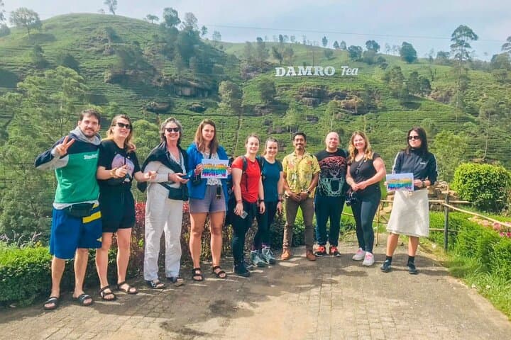 Kandy to Ella Scenic Road Trip: Tea Estates, Waterfalls & Hilltop Views photo 3