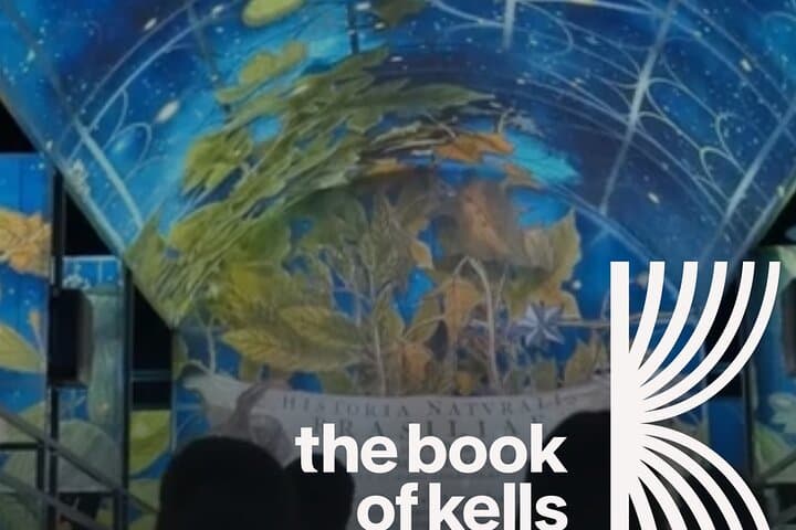 Dublin Private Luxury Car Tour — Guinness, Book of Kells & Custom City Routes photo 4