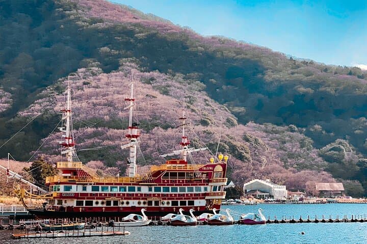 Private Fuji & Hakone Day Trip from Tokyo with English-Speaking Driver photo 5