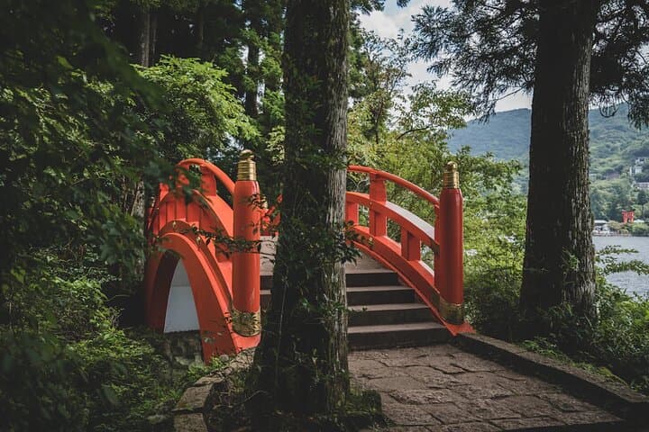 Private Fuji & Hakone Day Trip from Tokyo with English-Speaking Driver photo 6