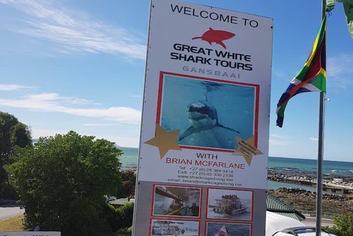 Shark Cage Diving in Gansbaai: Great White Encounters, Penguins & Wine from Cape Town photo 5