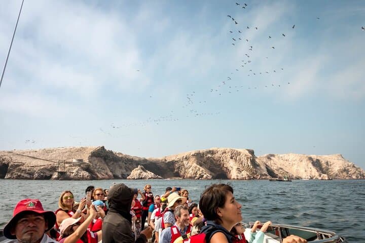 Ballestas Islands Speedboat from Puerto San Martin: Wildlife Cruise Near Paracas photo 5