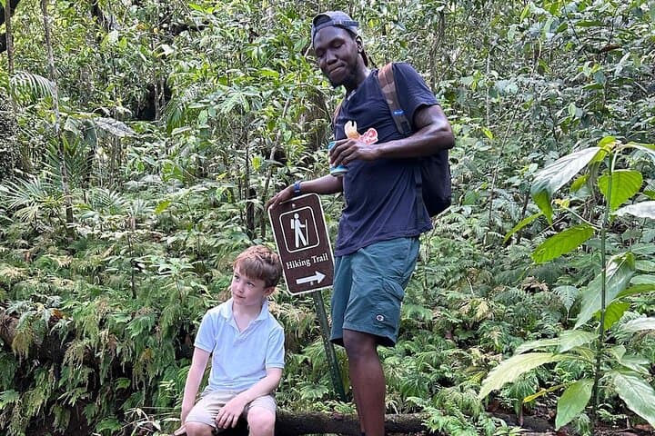 Summit Mt. Liamuiga: St. Kitts Volcano Hike to the Island's Highest Peak photo 6