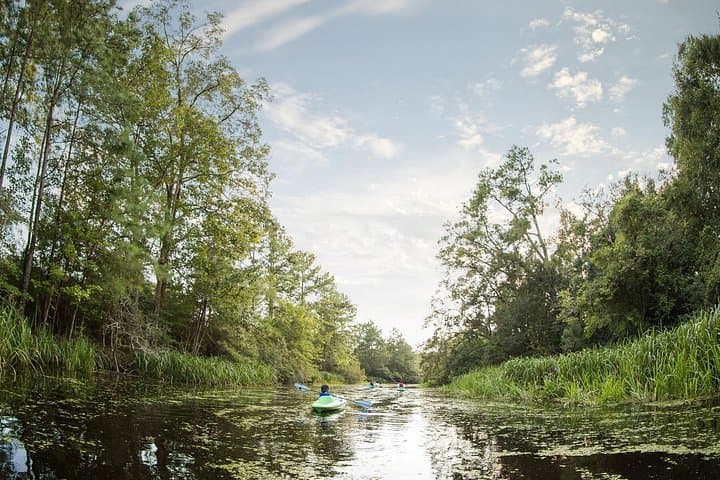 Cane Bayou Kayak Rental at Fountainebleau State Park — Paddle the North Shore photo 4
