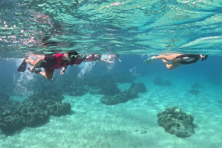 Electric Beach Marine Ecology Snorkel: Guided Reef Tour with Photos photo 2
