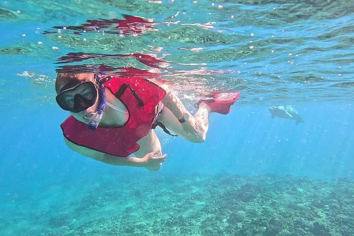 Electric Beach Marine Ecology Snorkel: Guided Reef Tour with Photos photo 4