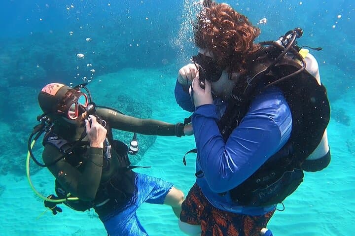 Try Scuba Diving at Electric Beach, Oahu — Kahe Point Intro Dive with Photos photo 3