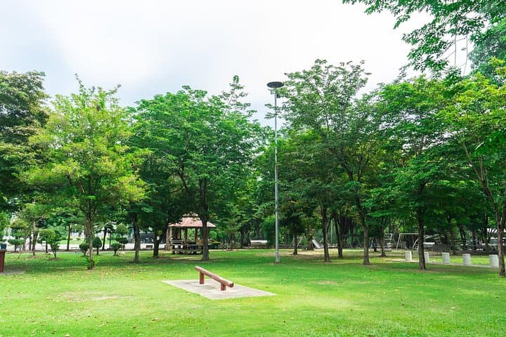 Bedok Hidden Gems Cultural Walk — Private 3-Hour Singapore Tour photo 6