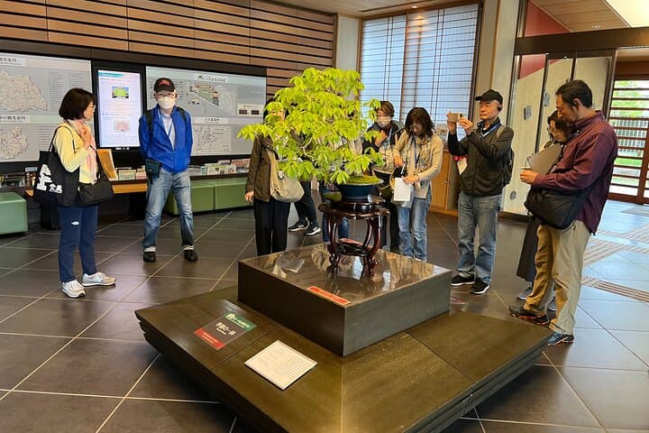 Private Omiya Bonsai Village Walking Tour: Explore Japan’s Bonsai Heritage photo 2