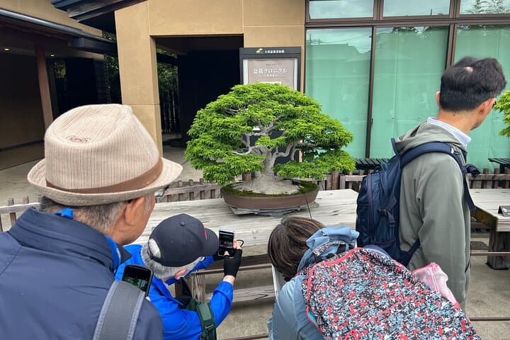 Private Omiya Bonsai Village Walking Tour: Explore Japan’s Bonsai Heritage photo 4