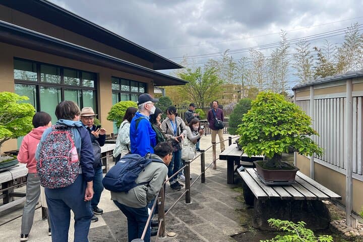 Private Omiya Bonsai Village Walking Tour: Explore Japan’s Bonsai Heritage photo 5