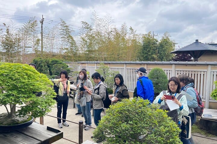 Private Omiya Bonsai Village Walking Tour: Explore Japan’s Bonsai Heritage photo 6