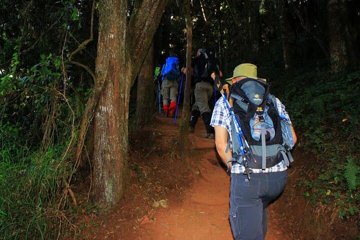 8-Day Kilimanjaro Lemosho Route: Shira Plateau to Uhuru Peak photo 3