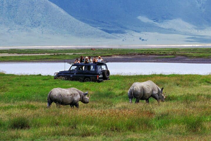 Private 6-Day Safari to Tarangire, Serengeti & Ngorongoro — Midrange Wildlife Experience