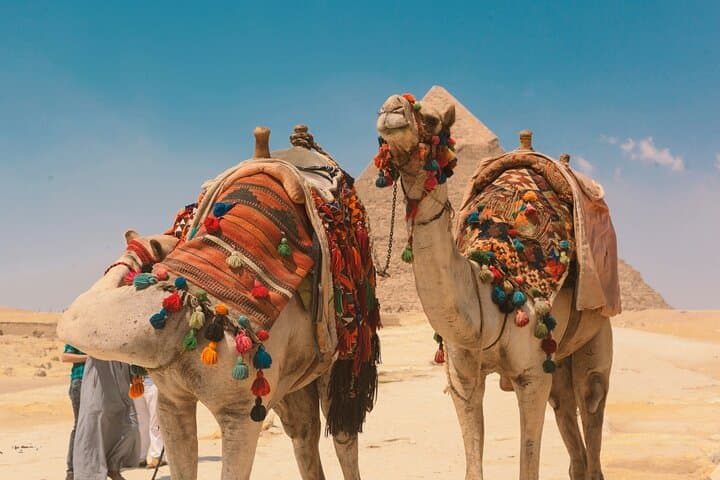 2-Day Cairo Private Tour: Pyramids, Saqqara, Memphis, Museum & Citadel photo 6