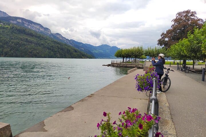 Lake Lucerne Panoramic E‑Bike Tour & 2‑Hour Cruise — Ride William Tell’s Route photo 5