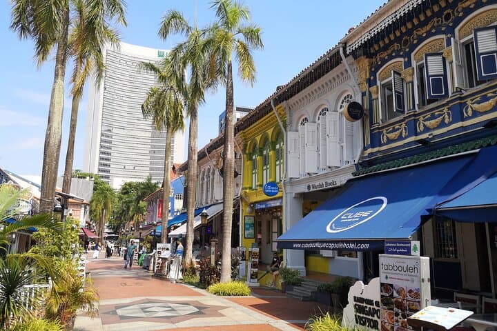 Singapore Hidden Treasures: Private Cultural Walking Tour photo 3