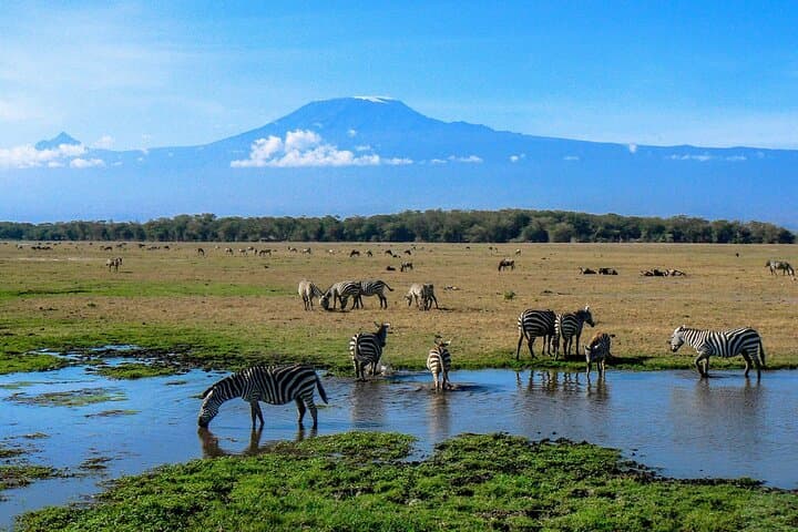 2-Day Amboseli Safari: Elephants, Views of Mount Kilimanjaro & Wildlife Immersion photo 4