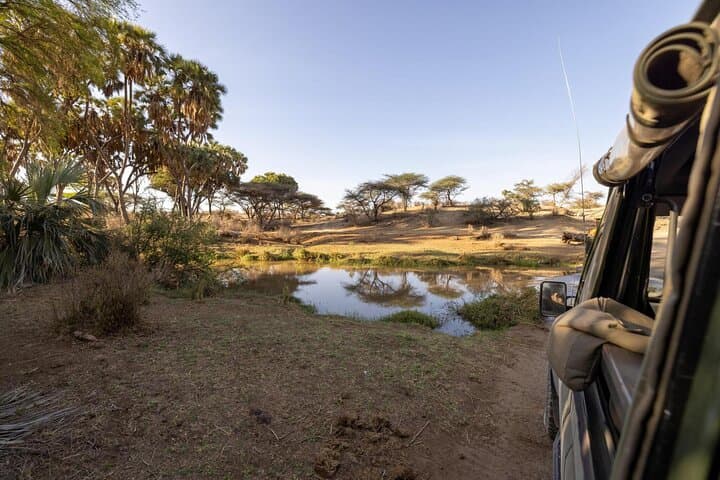 2-Day Amboseli Safari: Elephants, Views of Mount Kilimanjaro & Wildlife Immersion photo 5