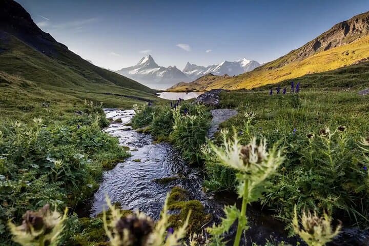 Zurich to Grindelwald First: Private Guided Day Trip to Bachalpsee & Trottibike Descent photo 2