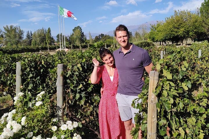 Uco Valley Wine Day Trip: Semi-Private Tour from Mendoza
