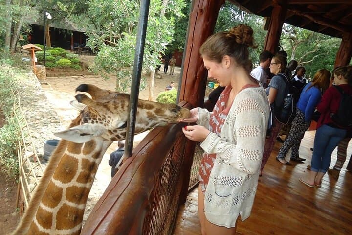 Up-Close at Nairobi Giraffe Centre: Half-Day Conservation and Nature Walk photo 3