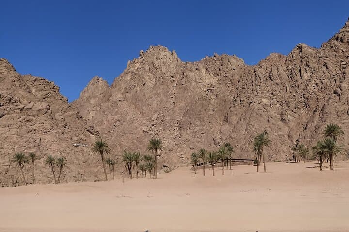 Sinai Quad Biking Safari: Morning ATV Adventure & Bedouin Tea photo 3