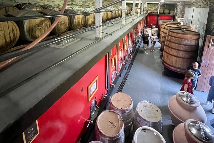 Private Douro Valley Wine Tour: Boat Cruise, Train Ride & Traditional Lunch photo 5