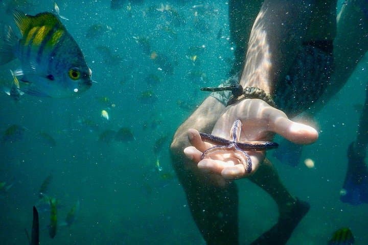 Spider Monkey Island & Tortuga Snorkel Day Trip from Tambor, Costa Rica photo 1