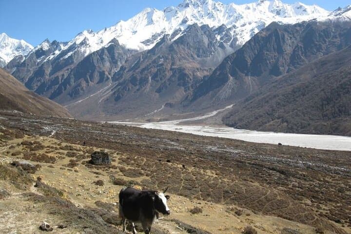 9-Day Everest Base Camp Trek from Lukla — High-Altitude Trekking Guide photo 6