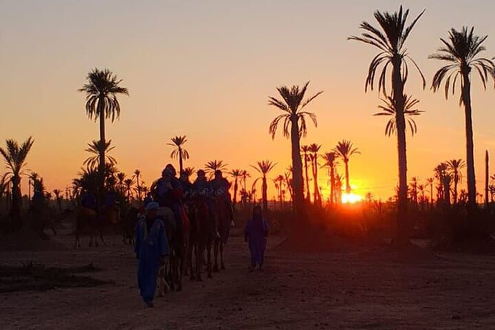 Sunset Camel Ride in the Palmeraie of Marrakesh — Palm-Grove Sunset Trek photo 2