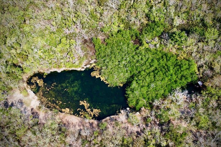 Best of Cozumel Tour: Half-Day Jeep & Van Highlights from San Miguel photo 3