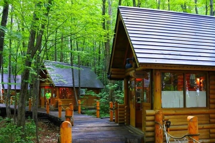 Hokkaido Day Tour: Asahiyama Zoo, Biei Blue Pond & Ningle Terrace from Sapporo