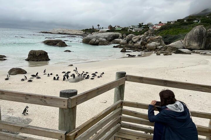 Full-Day Cape Peninsula Tour: Cape of Good Hope & Boulders Beach Penguins photo 2