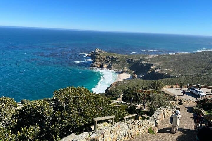 Full-Day Cape Peninsula Tour: Cape of Good Hope & Boulders Beach Penguins photo 5