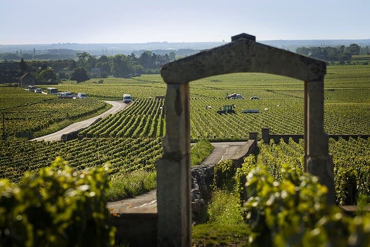 Burgundy Uncorked: Private Day Tasting through the Côte de Beaune & Côte de Nuits