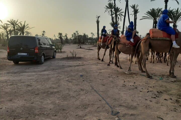 Private Camel Ride in Marrakech Palmeraie — Sunrise & Sunset Tours photo 3