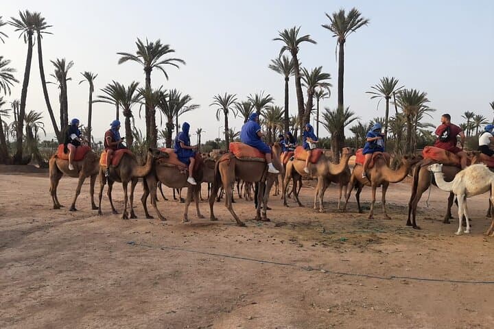 Private Camel Ride in Marrakech Palmeraie — Sunrise & Sunset Tours photo 4