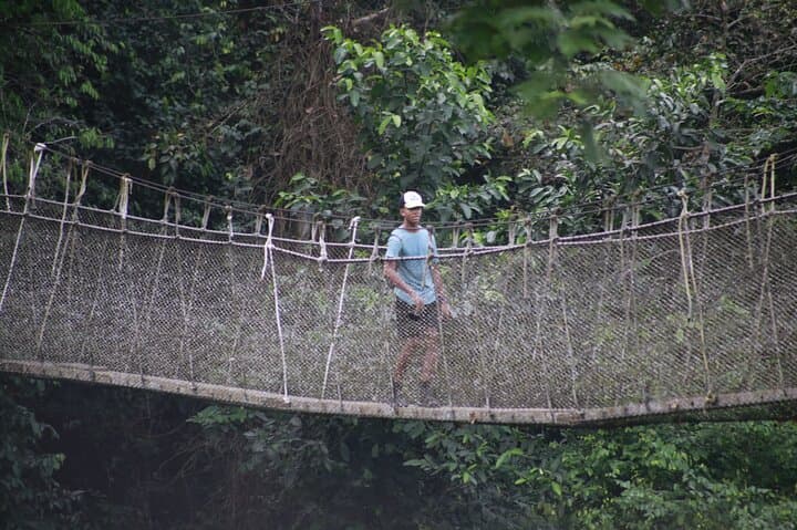 Kakum Canopy Walk & Cape Coast Castle: Rainforest Heights and Coastal History from Accra