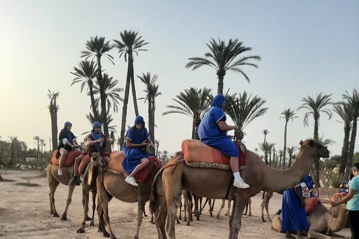 Private Camel Ride in Marrakech Palmeraie — Sunrise & Sunset Tours photo 5