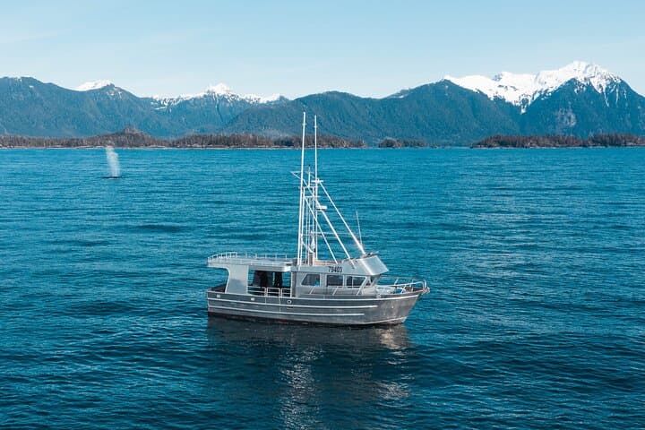 Sitka Marine Wildlife Tour: Humpbacks, Otters & Coastal History photo 3