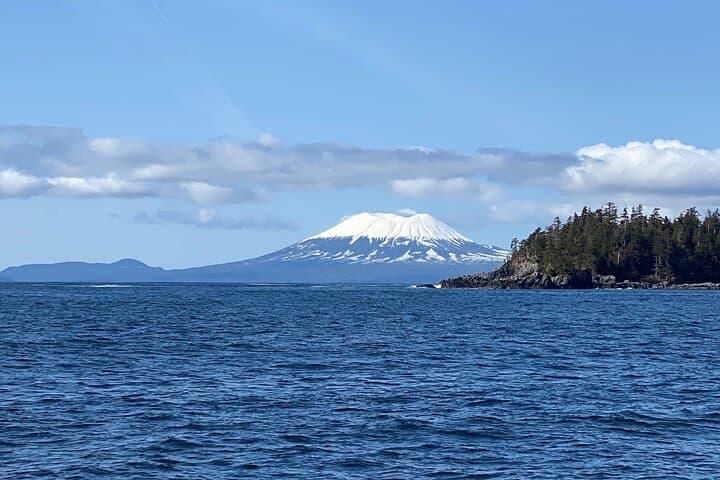 Sitka Marine Wildlife Tour: Humpbacks, Otters & Coastal History photo 4