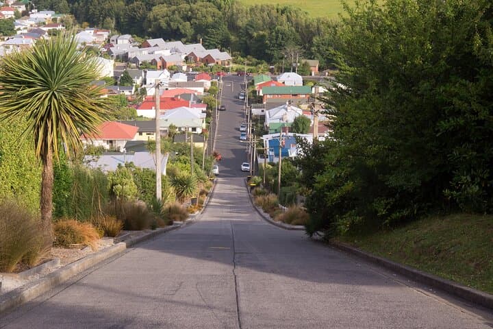 Larnach Castle & Dunedin City Highlights Tour — Octagon to Otago Peninsula photo 5
