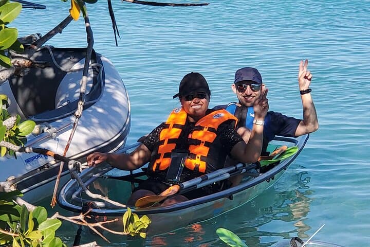 Clear Kayak Tour in Turks and Caicos — Paddle Mangrove Cay National Park photo 5