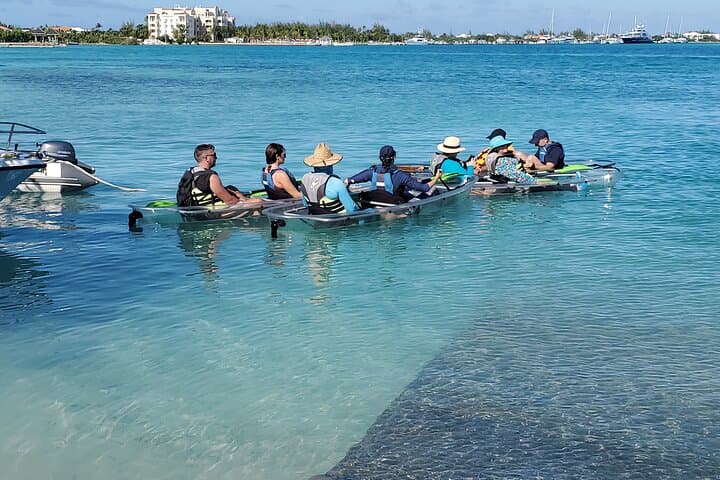 Clear Kayak Tour in Turks and Caicos — Paddle Mangrove Cay National Park photo 6